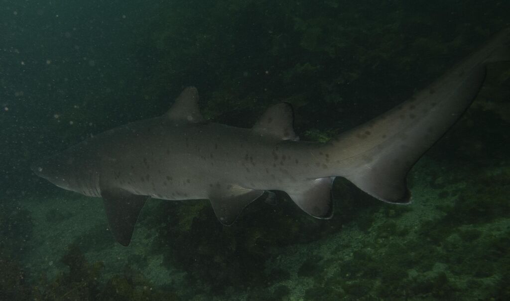 319b7026-8634-4443-889e-b721caa9c486