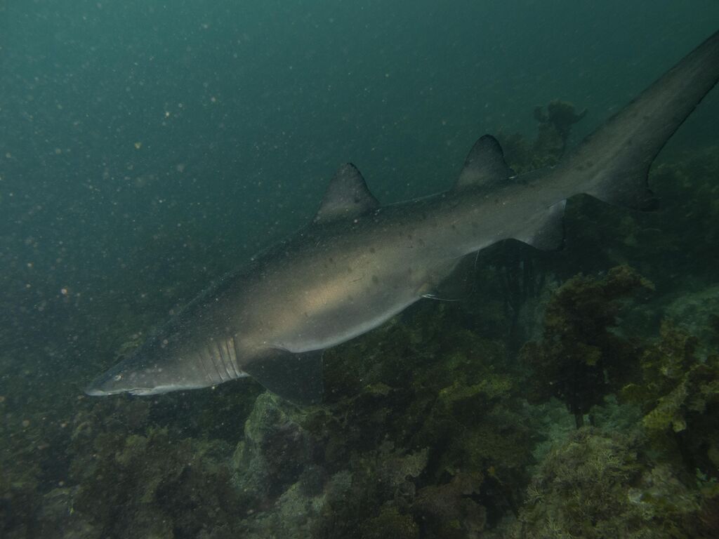 b76134eb-cd40-4150-b601-9d9a5445a540