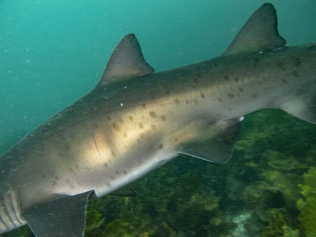 bd586eaf-e3a6-4f07-a372-6f8804183438