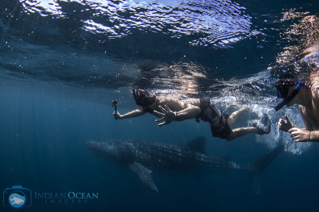 3a317da5-1cb4-412f-b840-4404e9d65183