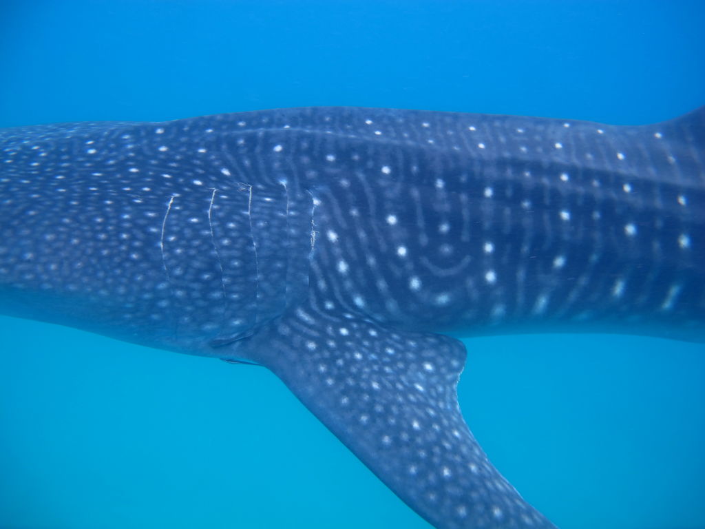 b3a50c53-9364-4069-9aea-db085f84d177