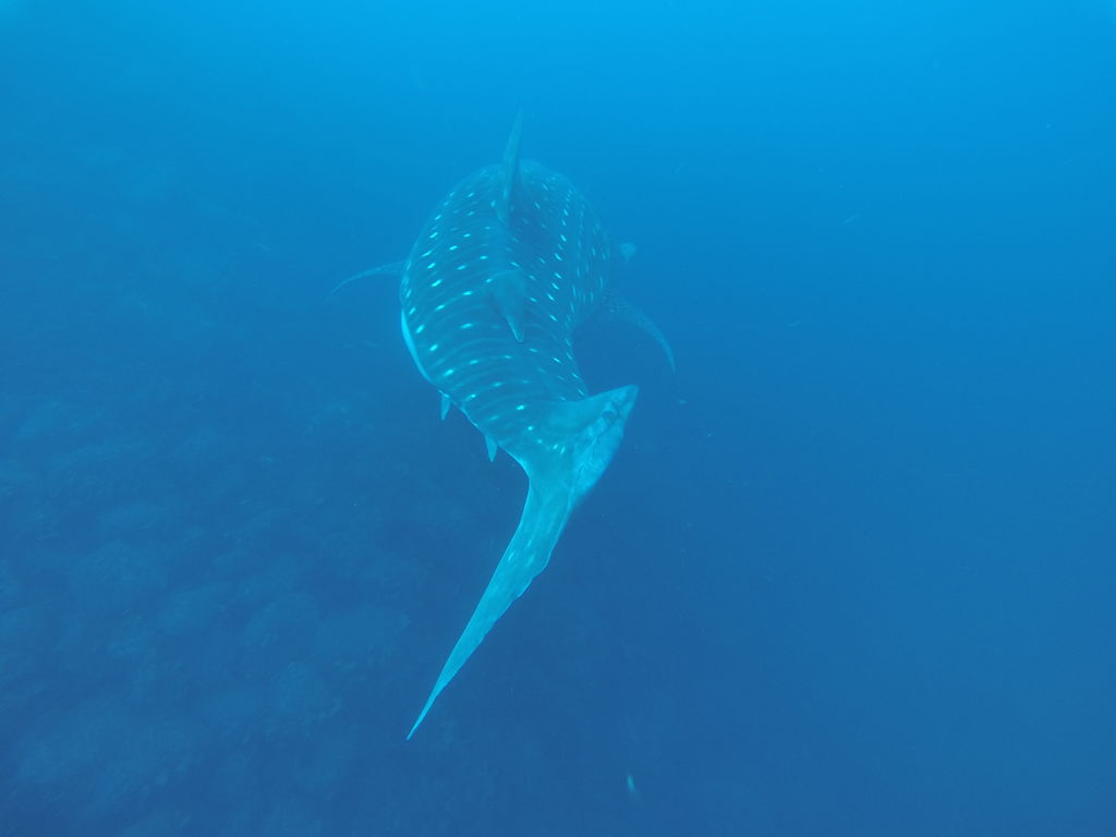 93342560-50eb-40a4-8552-d07c1153801a