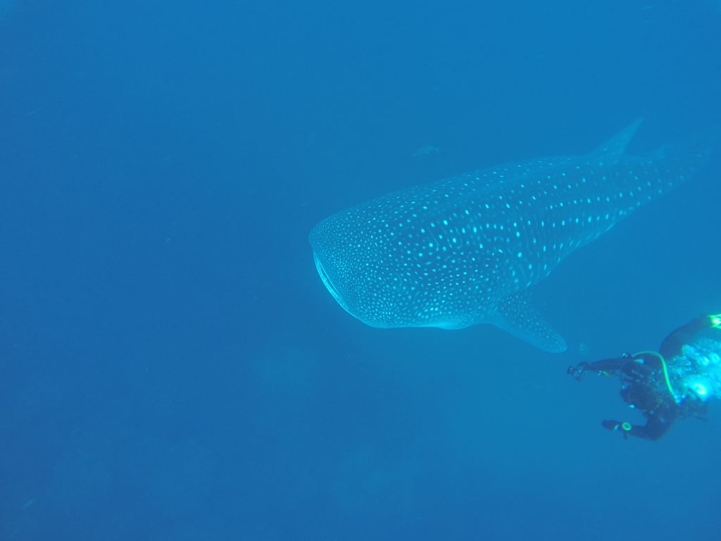 93342560-50eb-40a4-8552-d07c1153801a