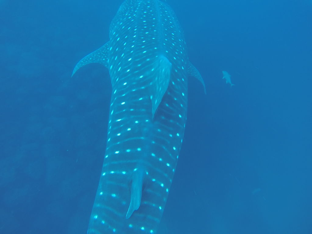 93342560-50eb-40a4-8552-d07c1153801a