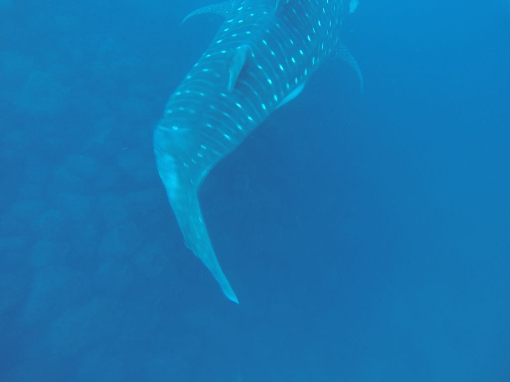 93342560-50eb-40a4-8552-d07c1153801a