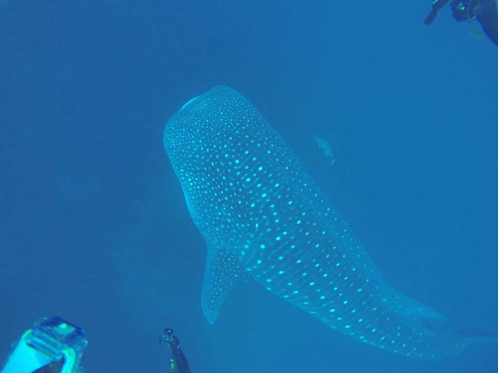 93342560-50eb-40a4-8552-d07c1153801a