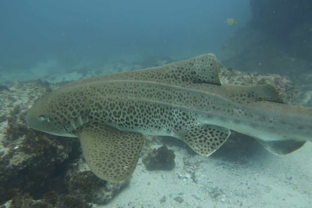 777a7713-60c1-4fc4-ba9d-95924db5a729