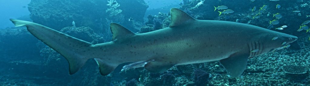 7937708b-a76b-4079-8e0a-f8e9f6156e52