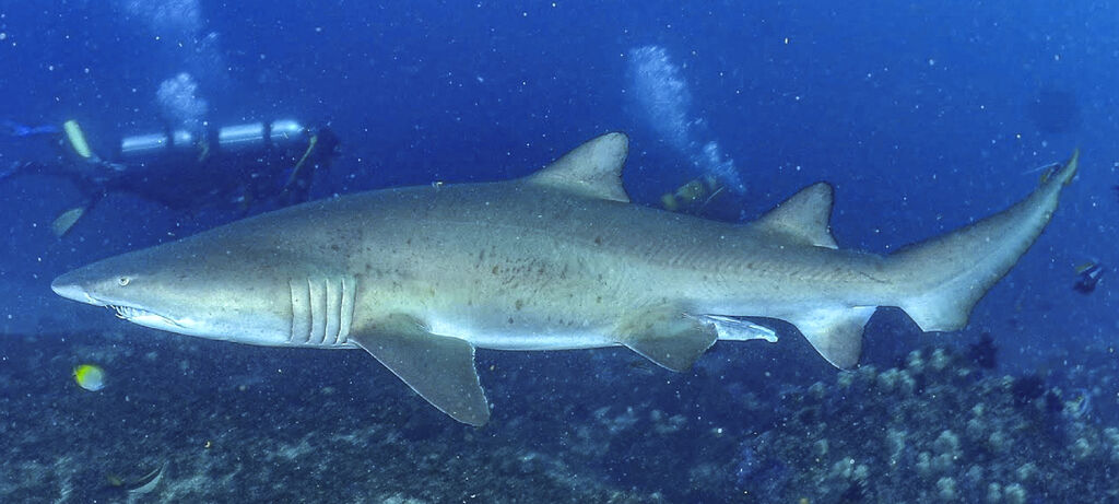 e22881a2-2a26-4afb-9de2-a6c686efc158