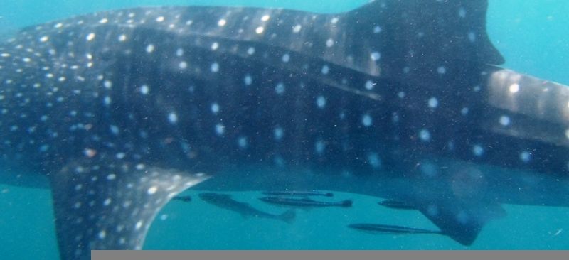 414e4da7-fa68-45d2-8272-1a041a2d62f7