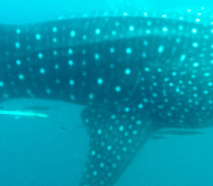 414e4da7-fa68-45d2-8272-1a041a2d62f7