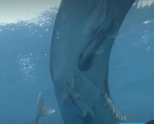 c742c4c4-7084-47b4-9a94-add62136d850