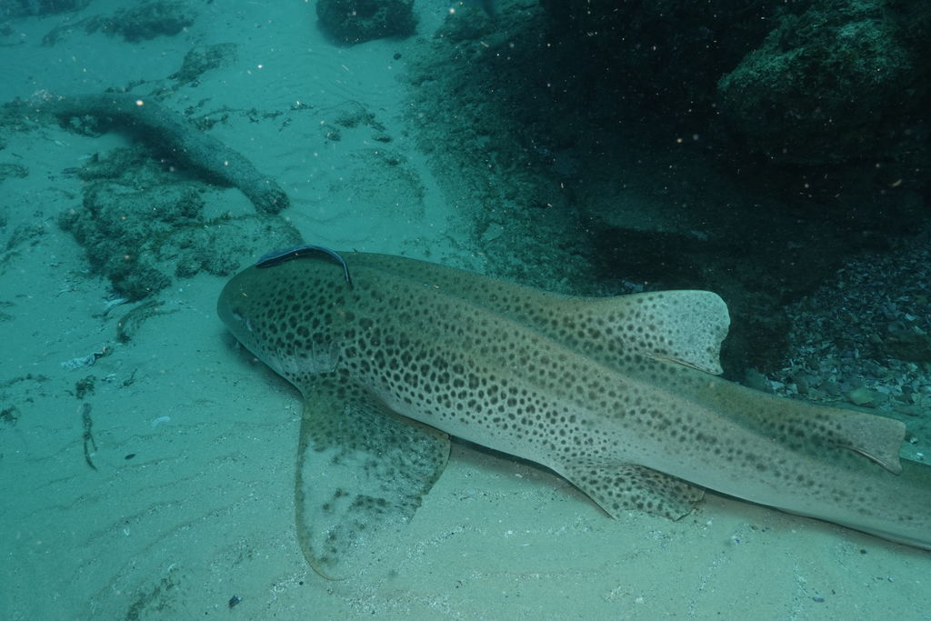 56444ea7-419a-45d2-a445-a0f45fa143b5