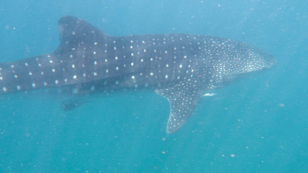 83ab8e3e-141e-461a-80d9-1c6b5503d291