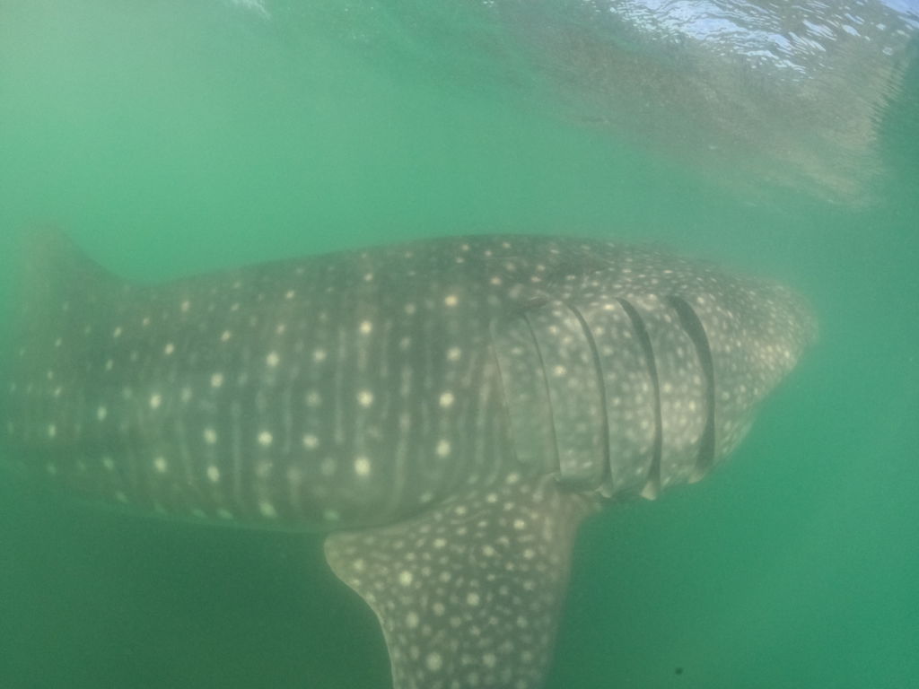 6cb2f88c-0309-495f-9c10-ca4ec5a1200d