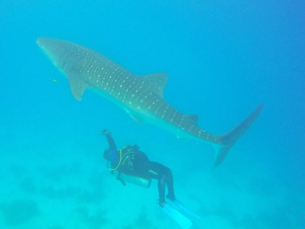 a74db7ff-3b66-4e09-970a-631f08c62cfa