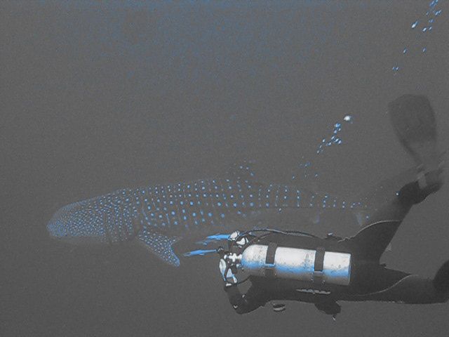 19085edd-3d82-406c-84d9-4838e60a4cda