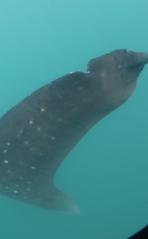 21ee4081-5f8d-4f4e-a71c-244b951ac21d