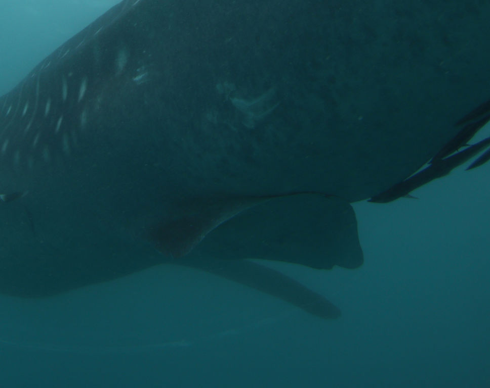 21ee4081-5f8d-4f4e-a71c-244b951ac21d