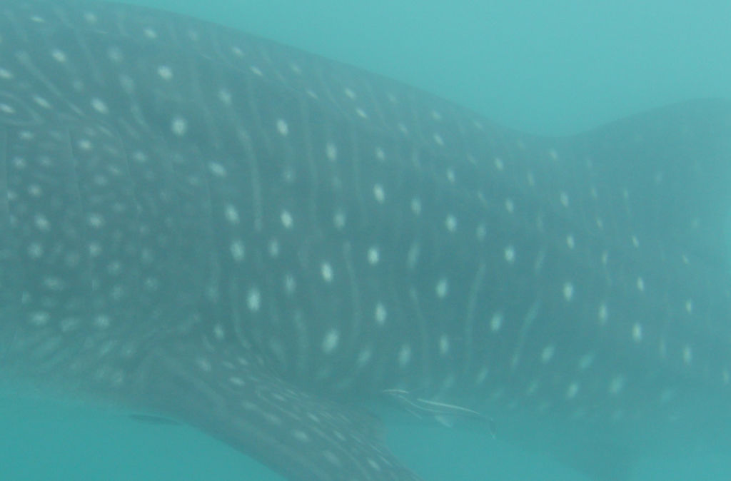 21ee4081-5f8d-4f4e-a71c-244b951ac21d