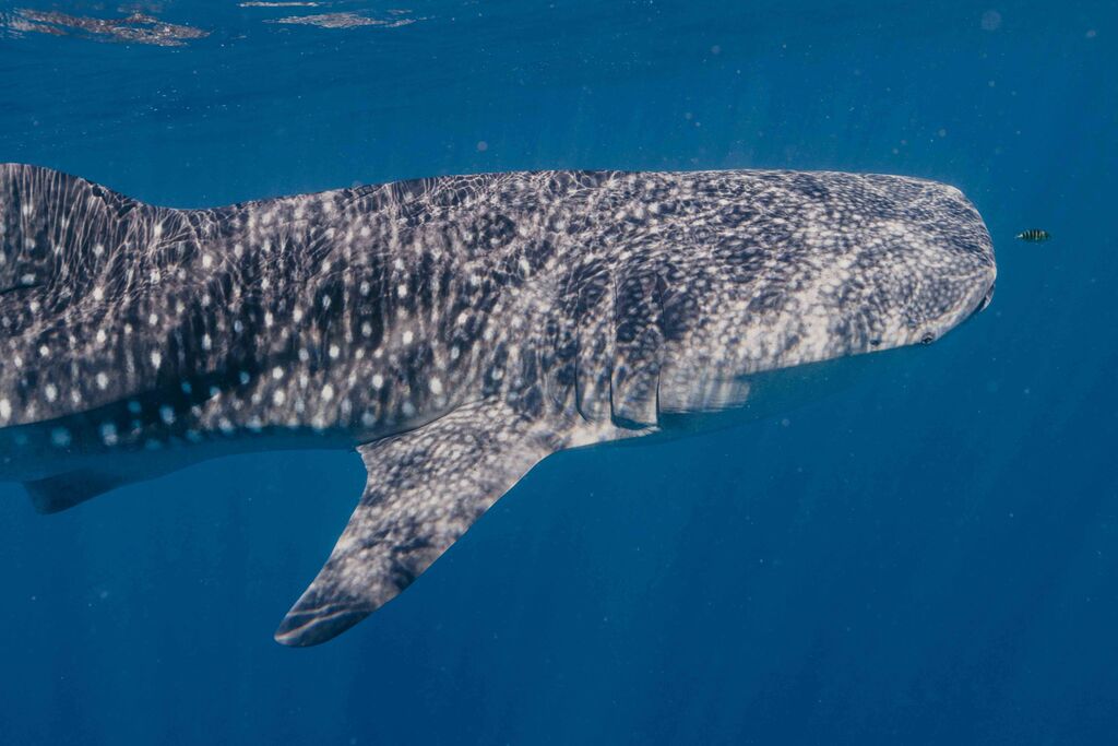 46118357-3342-4657-9a67-5498da5df73b