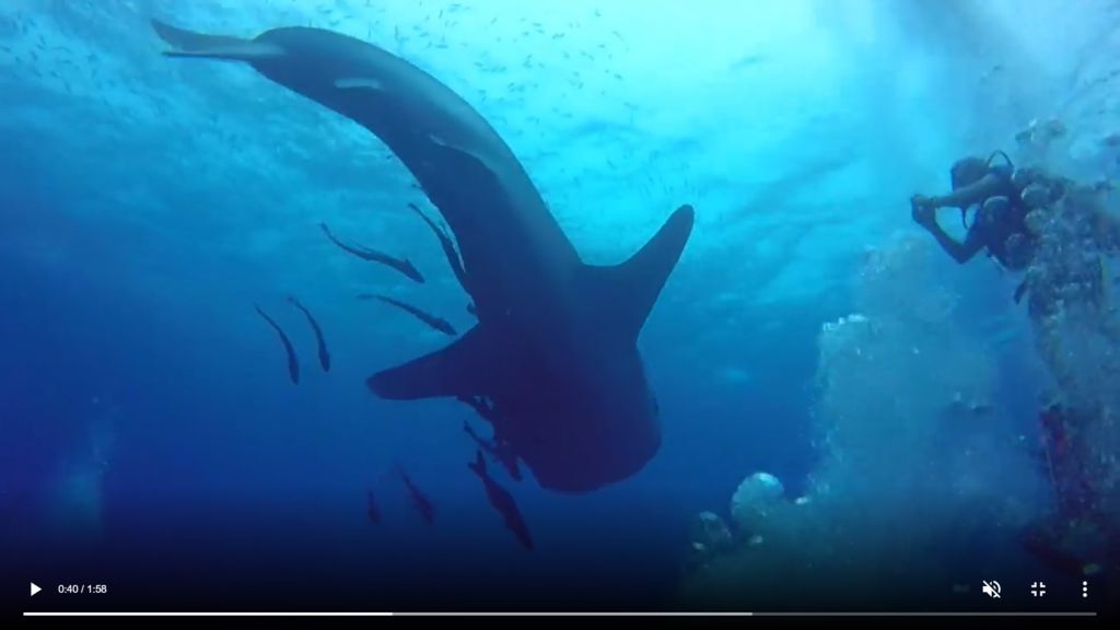 eadf1997-d51b-412a-b65c-402aaa787ee1