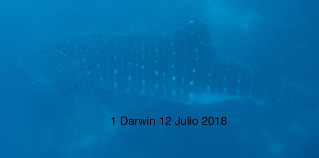 dfaf8470-0fd3-43b7-a07f-deb24c756848