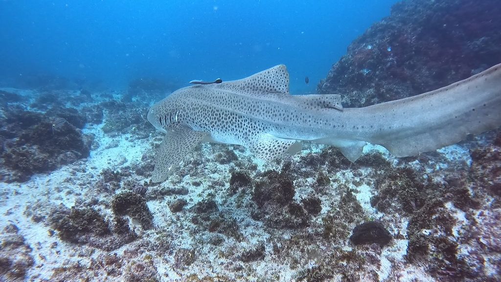 d58b0845-ad37-49ce-9310-b6304a74bc4a