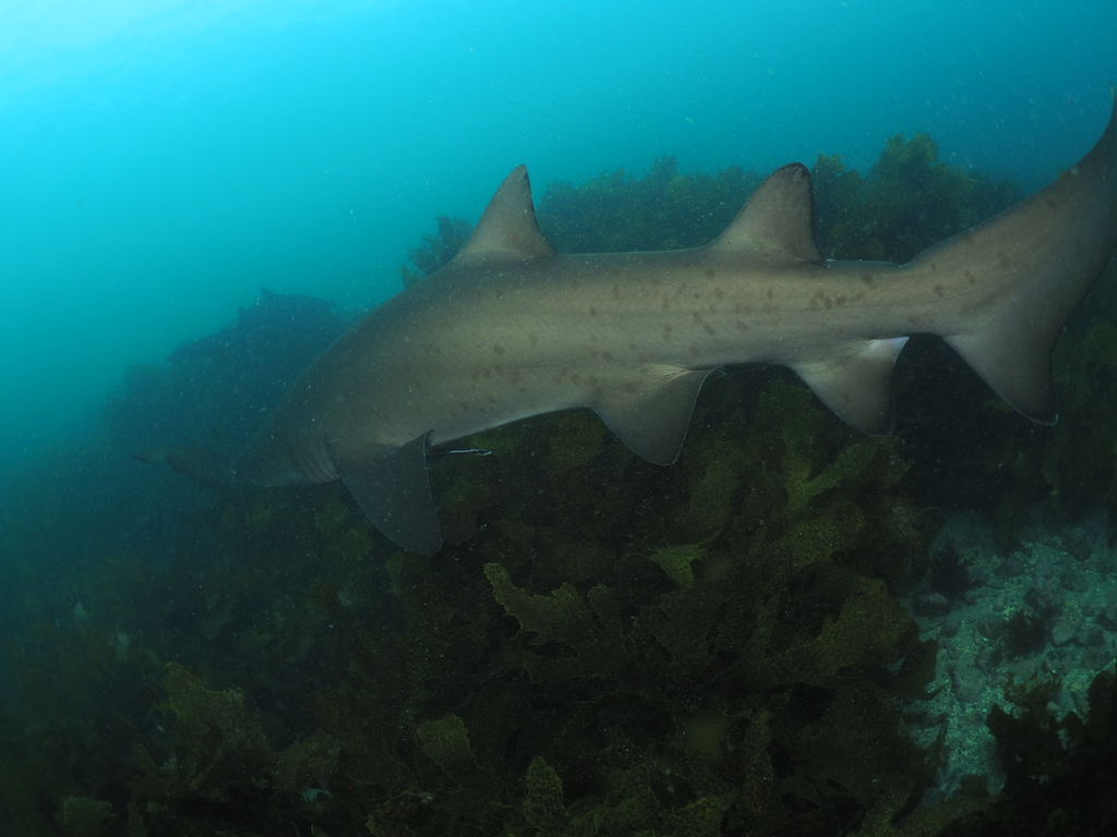 c5441c8a-382e-4889-a630-faa076ba36b2