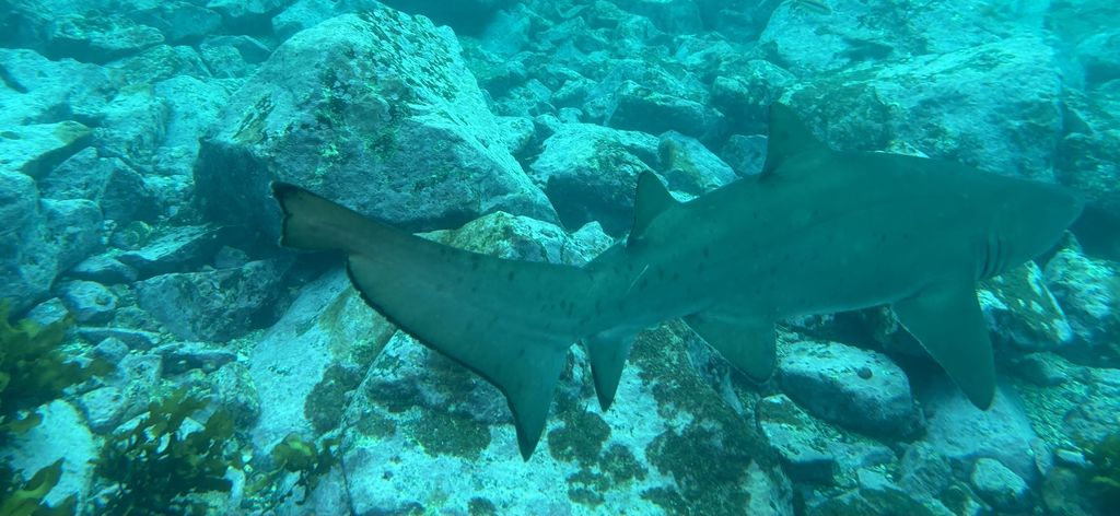 6f32db42-d645-436c-904e-fa5ce0843290