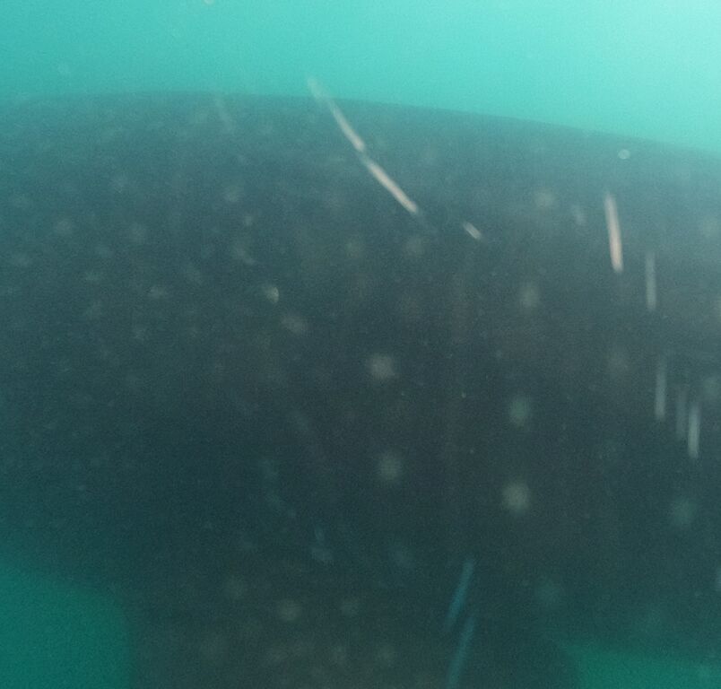 34c8cf45-478e-4c43-a448-b9b7ac3a9a6e