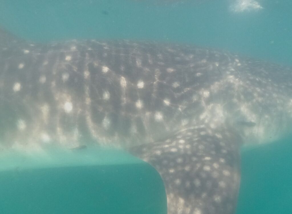 34c8cf45-478e-4c43-a448-b9b7ac3a9a6e