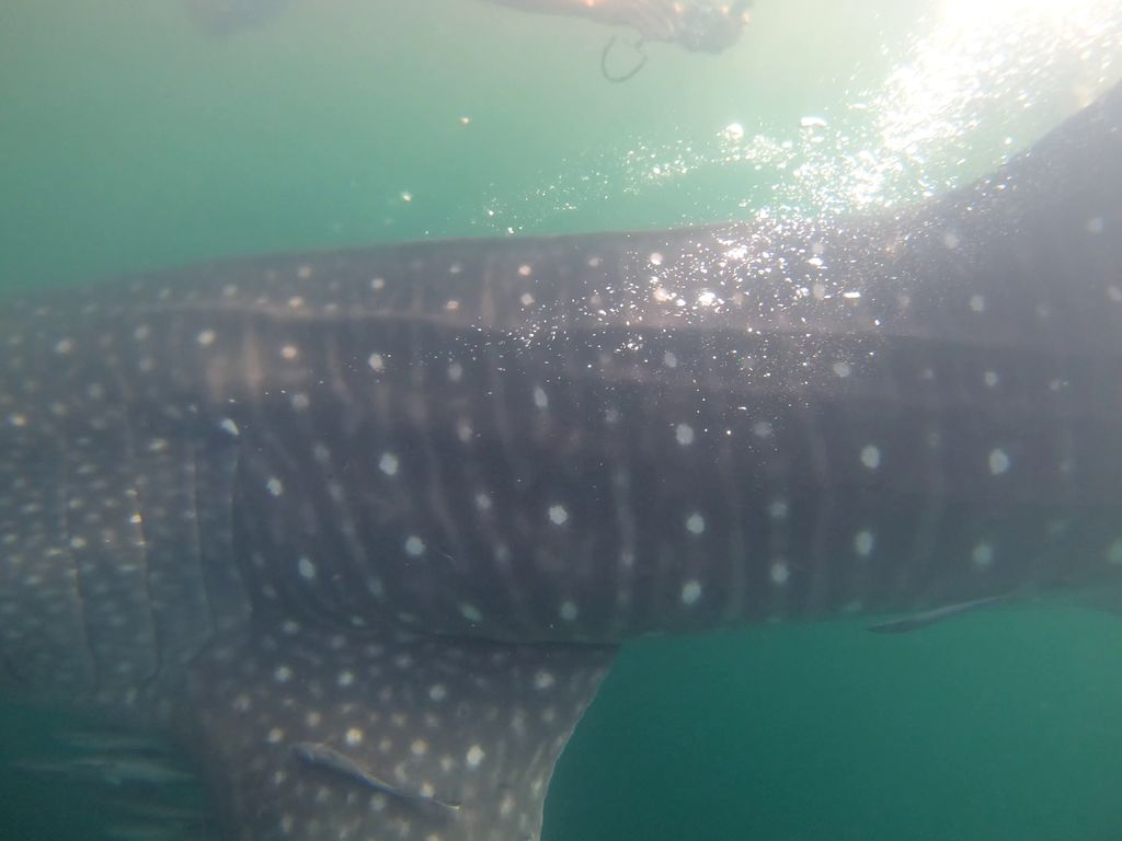 0af25041-d986-4e96-a2e0-4e647806cd55