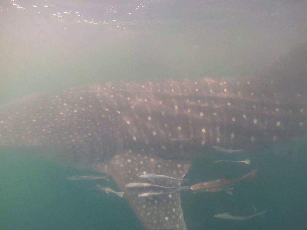 0af25041-d986-4e96-a2e0-4e647806cd55