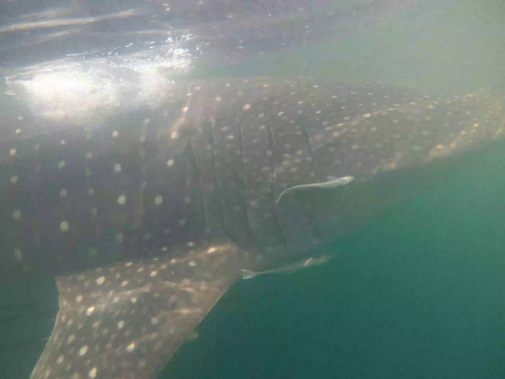 0af25041-d986-4e96-a2e0-4e647806cd55