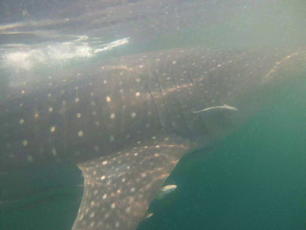 0af25041-d986-4e96-a2e0-4e647806cd55