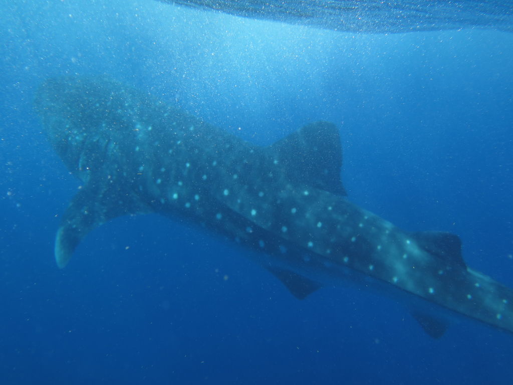 e6e28140-4637-44d7-8803-ff07c8ed91fa