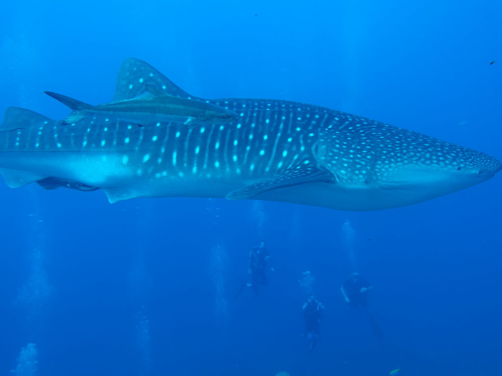 54d1d491-45fd-4e37-8586-eaad95328edb