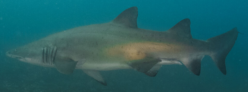 d66c393a-aea8-469b-8bac-8e1931467234