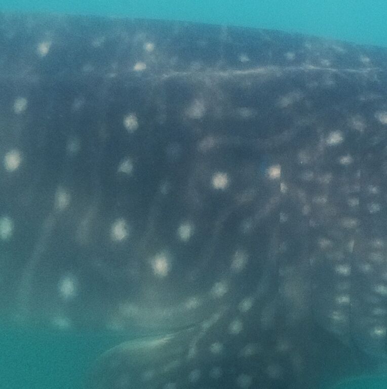 e0308227-7129-4f07-a2e7-044a12f63678