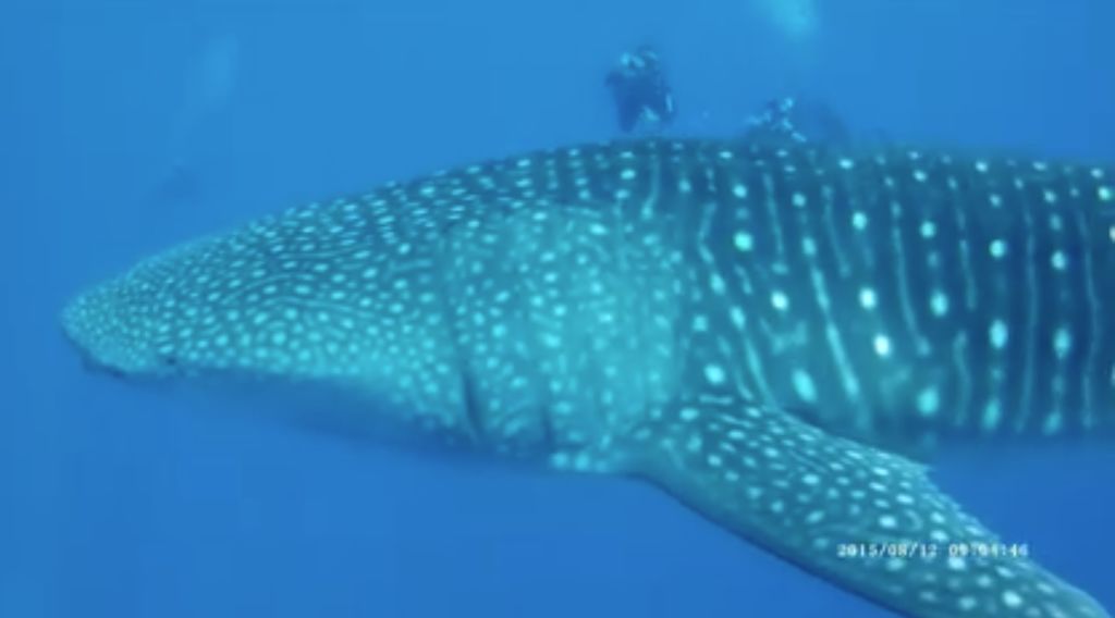 a156cdf9-818a-4f3d-981b-b5dc25d30783