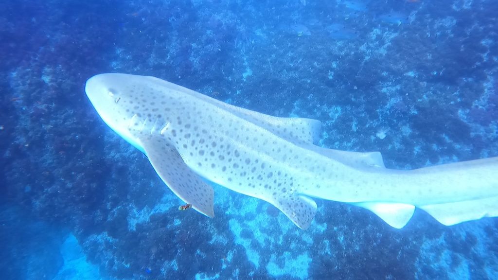 c9420929-3b19-43ae-b547-5540040499ed