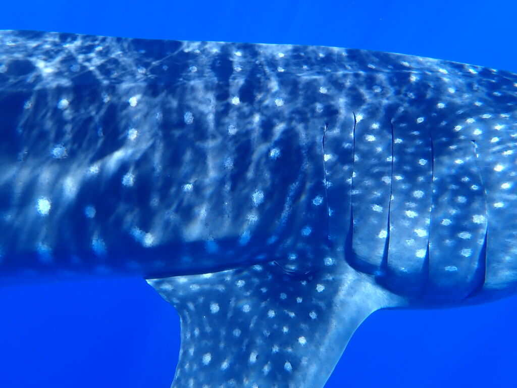 6509dc5d-9e14-497d-990a-403e72dfd830