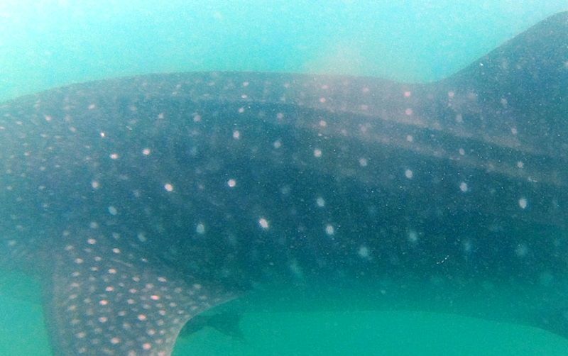 d958f6c4-b996-4e55-a8d5-601b5a74b172