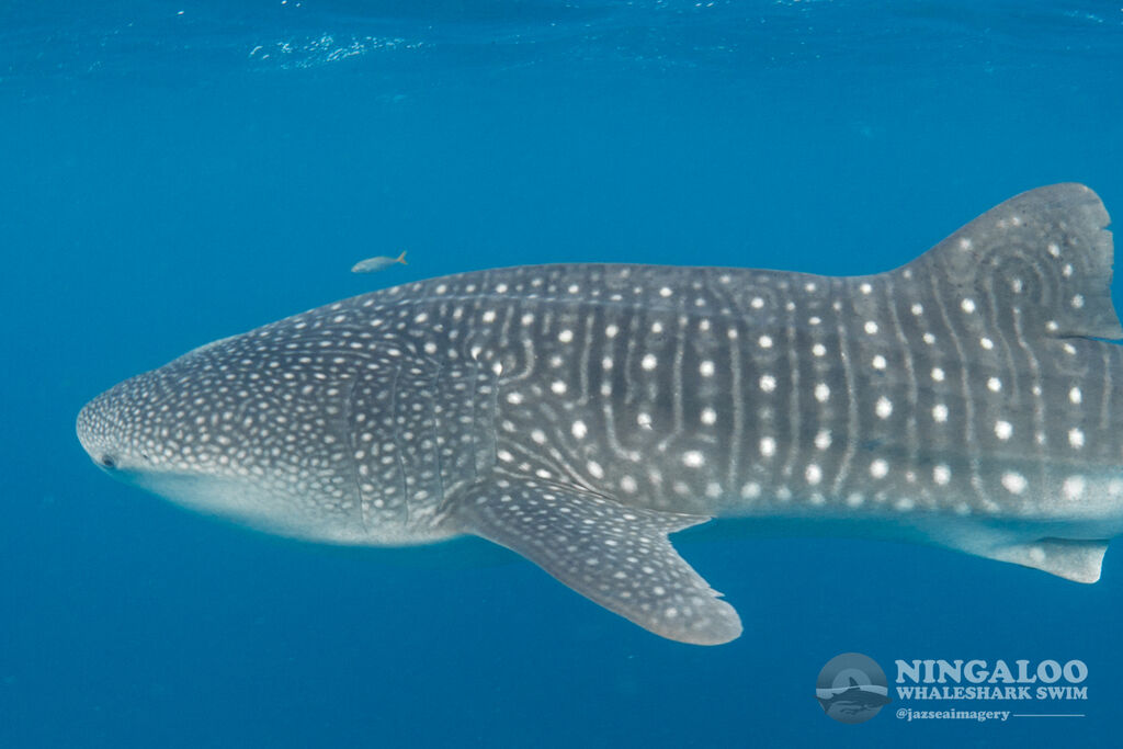 2b9b5f42-fe4f-4e93-92db-8d0027085629