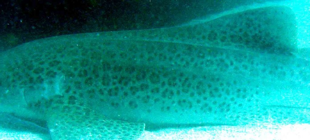 558e8464-ca8a-49a7-b466-722a8e1e2e12