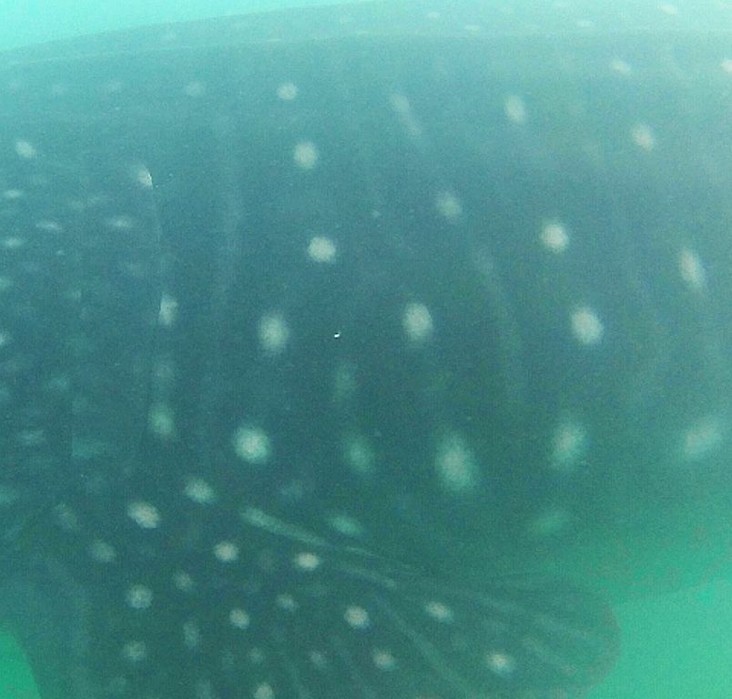 0eab58c0-555a-4755-89da-c3d5e22d6af0