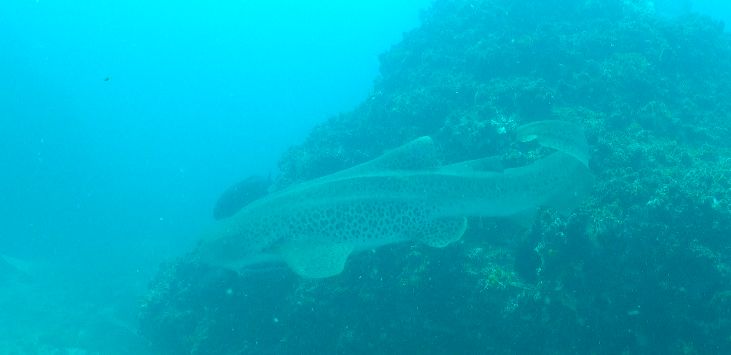 c56d9c8c-99a1-420c-9679-04870ed44d59