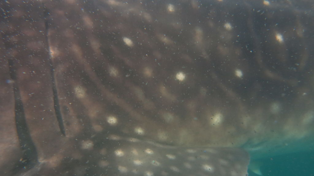 b76760e2-6c82-4673-b7fc-297105c79be6