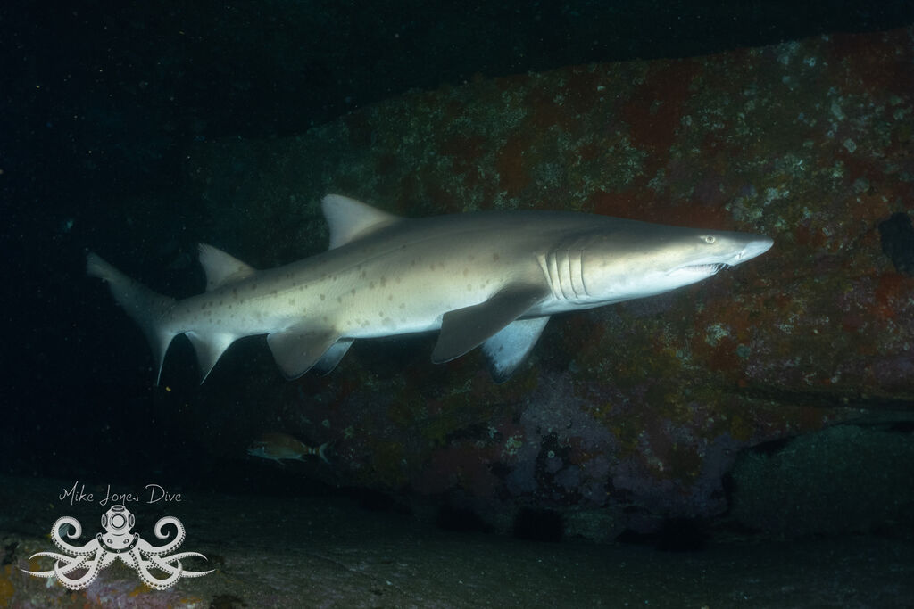 ad4f15c9-9ace-4fd2-a0a5-330920fcc5ae